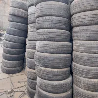 پژویی سمندی تعداد