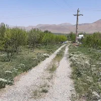 باغ میوه فنس کشی منطقه شراء روستای قلعه ازرج|فروش زمین و ملک کلنگی|قره چای, |دیوار