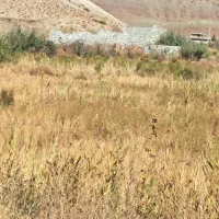 زمین ویلای در اسکندر|فروش زمین و ملک کلنگی|باسمنج, |دیوار