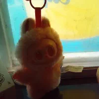 لبوبو|کلکسیون و سرگرمی|تاکستان, |دیوار