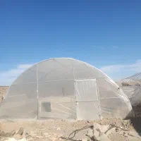 اجاره یا شراکت در گلخانه