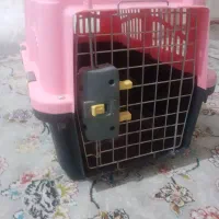 باکس پت