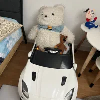 ماشین شارژی