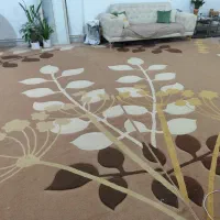 یک جفت گلیم فرش با کیفیت و زیبا ( دست دوم)