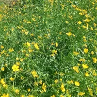 کوهنوردی وطبیعت گردی