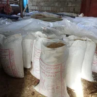 گندم|عمدهفروشی|کامیاران, |دیوار