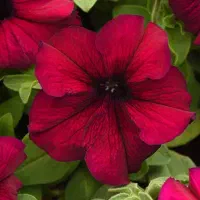 راهنمایی کلاس سفالگری نیشابور