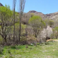 باغ تفریحی آوینا