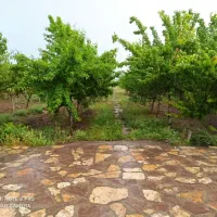 باغ-5000متری-دور-دیوار-بین-گلمکان-و-گلبهار