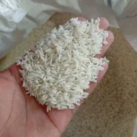 برنج هاشمی درجه یک