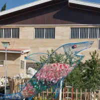 نیروی کار