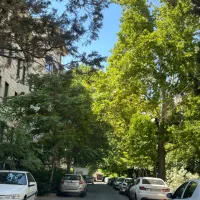 ۱۰۳متر  /روبه نما. /  بلوار ارم روبروی باغ سیب