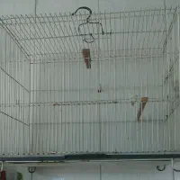 قفس سهره و قناری برای تمام پرندگان ریز جثه|لوازم جانبی حیوانات|فردیس, شهرک هفده شهریور|دیوار