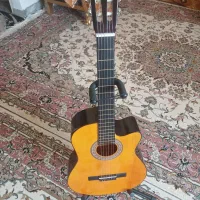 گیتار دیاموند