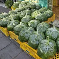 سبزی خرد شده