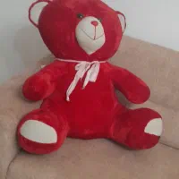 خرس مهربون