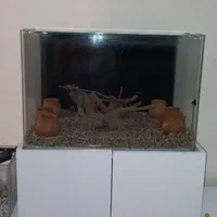 آکواریوم و میز