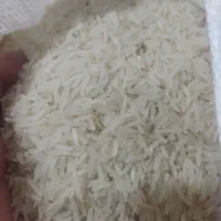 برنج طارم احمدی روشن|خوردنی و آشامیدنی|کلاله, |دیوار