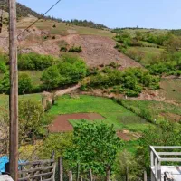 زمین ییلاقی