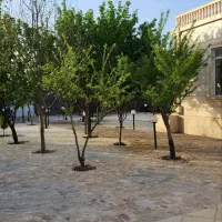 اجاره روزانه/هفتگی/ماهانه ویلا ۱۰۰۰ متری در بهمن|اجارهٔ کوتاه‌مدت ویلا و باغ|مشهد, بهمن|دیوار