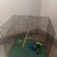 قفس با جا آب
