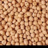 فروش نخود درجه یک امسال