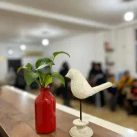 مدرس زبان انگلیسی