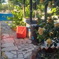 اجاره ویلا سویت باغ