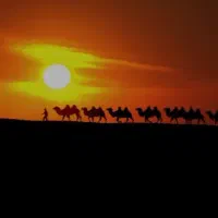 تور ۱/۵روزه کویر  مرنجاب ویژه دی ماه|تور و چارتر|تهران, شهرک پاسداران|دیوار