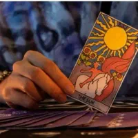 سرکتاب با قیمت مناسب