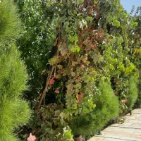 باغ ویلا سراه فردوسی سازمان آب جدید