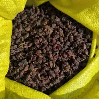 کشمش تیزآبی کشمش آفتابی گله کشمش پلویی مویز کشمش|خوردنی و آشامیدنی|مشهد, امیریه|دیوار