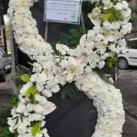 گل گیاه|گل و گیاه طبیعی|تهران, حر|دیوار