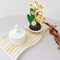 ست سینی و قندان