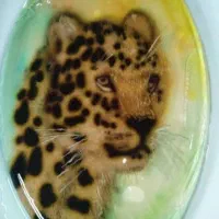 آموزش ژله تزریقی همراه با ساخت ابزار|خدمات آموزشی|فردیس, شهرک راه آهن|دیوار