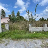 زمین ویلایی چسبیده به منطقه دشت نور|فروش زمین و ملک کلنگی|نور, |دیوار