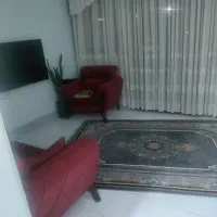 تلویزیون