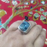 انگشتر شجر.