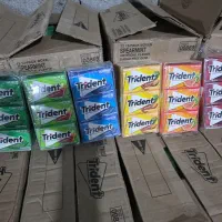 آدامس Trident طعم بندی کامل