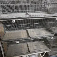 قفس حرفه ای قناری|لوازم جانبی حیوانات|آران و بیدگل, |دیوار