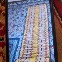 چیت نو دور پکتیکا.