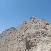همنورد