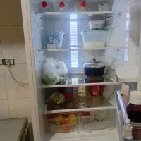 یخچال فریزر الکترو استیل|یخچال و فریزر|زرند, |دیوار