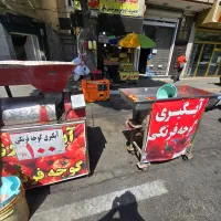 آبگیری آبلیمو  ترش و آبغوره