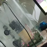 آکواریوم خیلی خوب عالی ماه توش حال میکنه