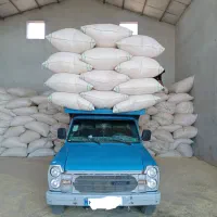 گاه گندم دیم|عمده‌فروشی|چهارباغ, |دیوار