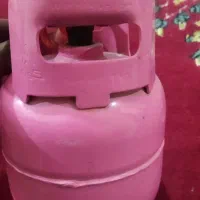 پیک نیک|اجاق گاز و لوازم برقی پختوپز|سبزوار, کلاته سیفر|دیوار