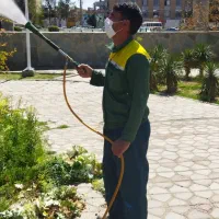 باغبان.انجام کلیه کارهای باغبانی|خدمات باغبانی و درختکاری|قم, نیروگاه|دیوار