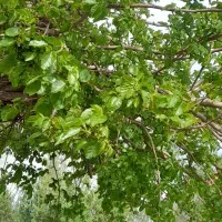 ۱۴هزار متر زمین کشاورزی