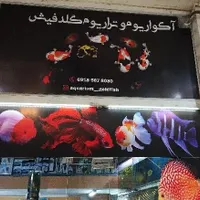 آکواریوم گلدفیش